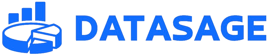 DATASAGE Logo